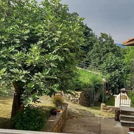 La Casa Di Vic Levice