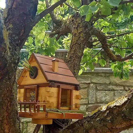 La Casa Di Vic