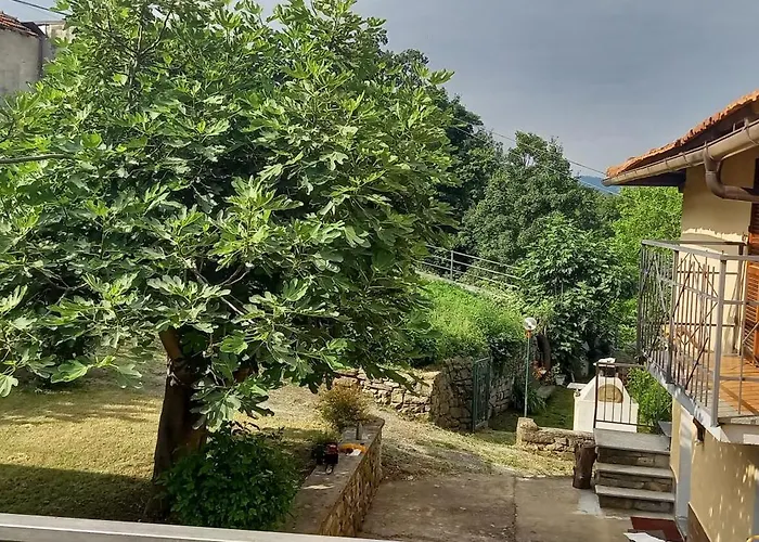 La Casa Di Vic Levice